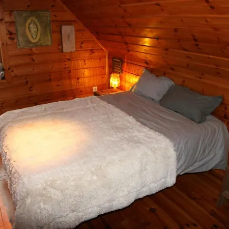 Strasbourg - Alsace - Vosges - Chalet - Maison Dağ evi Mollkirch
