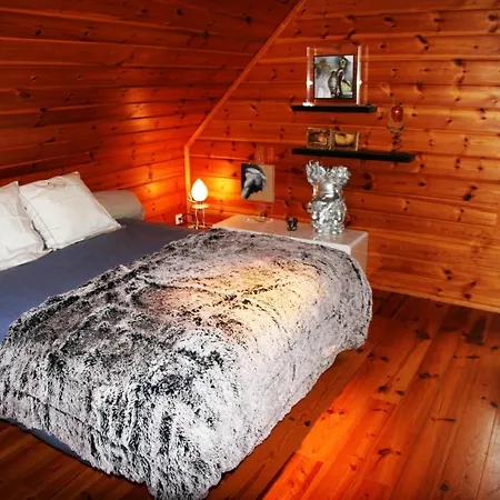 Strasbourg - Alsace - Vosges - Chalet - Maison *
