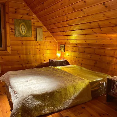 Strasbourg - Alsace - Vosges - Chalet - Maison * Mollkirch